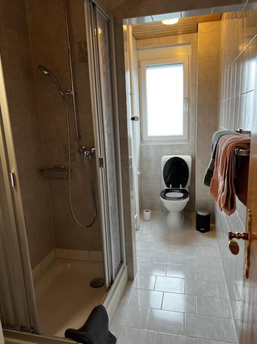 Charmante Und Zentrale Wohnung Am Weiherpark アルボン エクステリア 写真