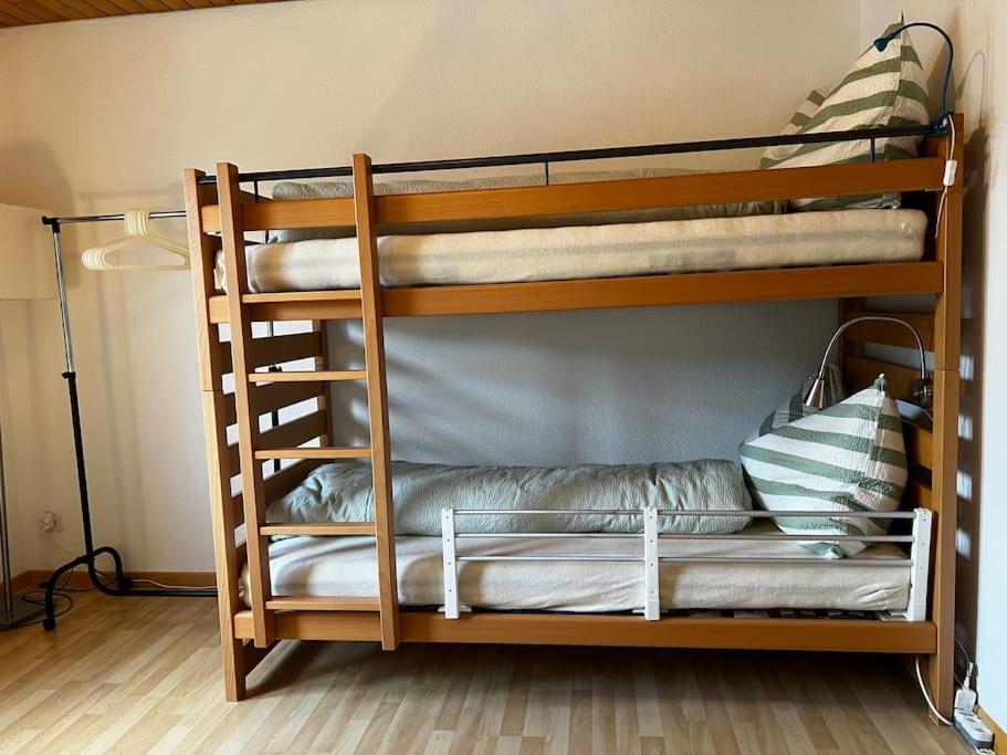 Charmante Und Zentrale Wohnung Am Weiherpark アルボン エクステリア 写真