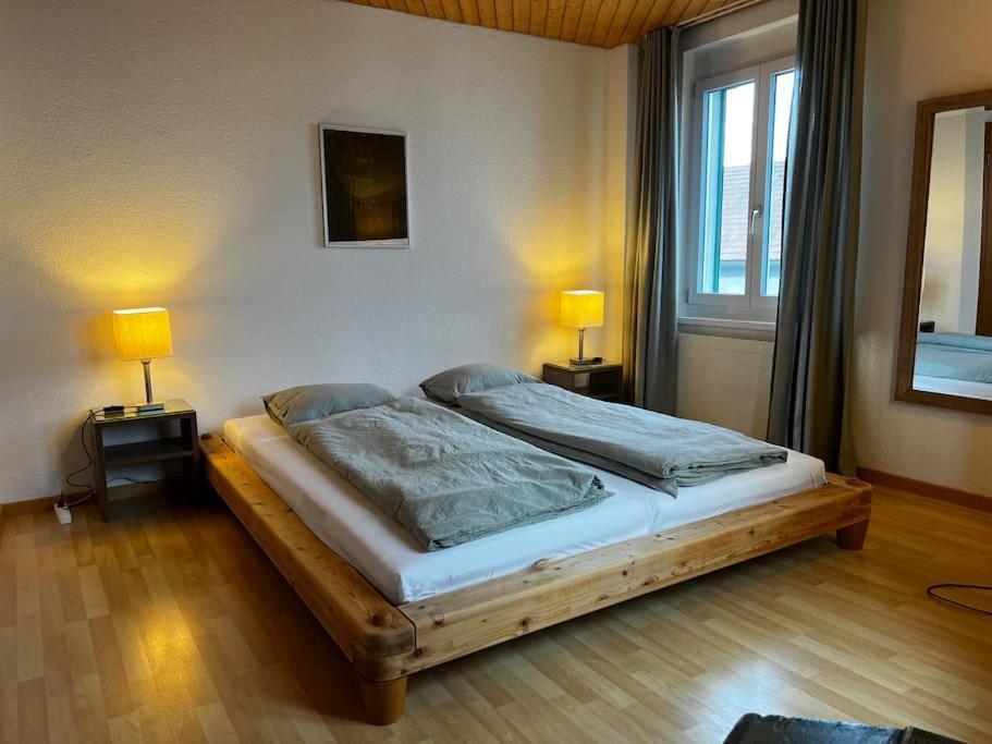 Charmante Und Zentrale Wohnung Am Weiherpark アルボン エクステリア 写真